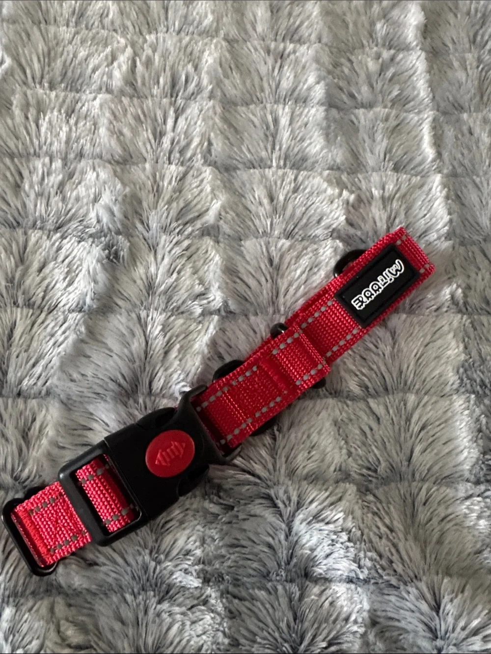 Red Reflective Nylon Dog Collar with Buckle